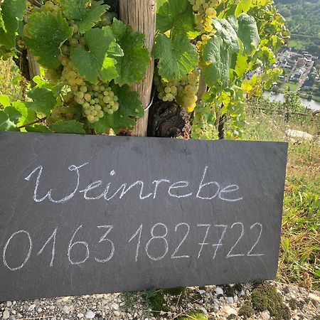 شقة Weinrebe برنكاستيل كويس المظهر الخارجي الصورة